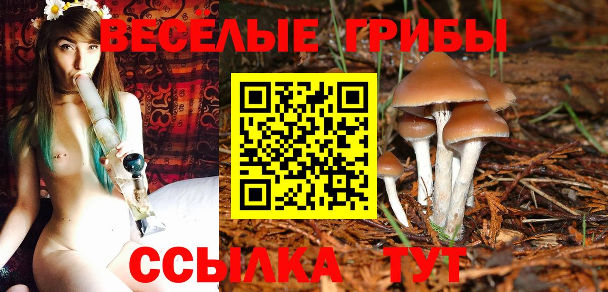 Донецк  Галлюциногенные грибы ЛСД  Вход с VPN 