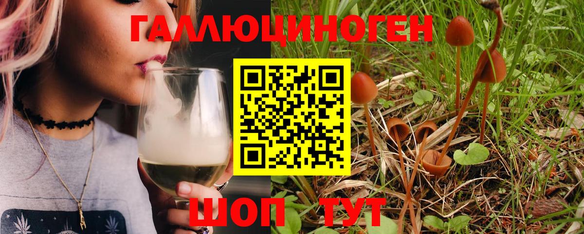 Псилоцибиновые грибы Psilocybe Донецк